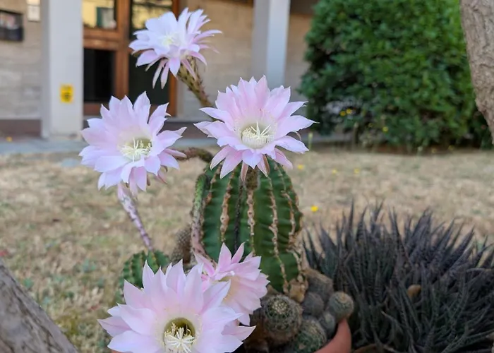 Apartman Navacchio-pisa 1b Cascina